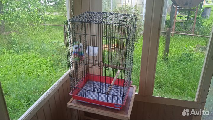 Клетка для крупных птиц