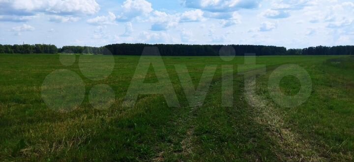 Участок 3,66 га (СНТ, ДНП)