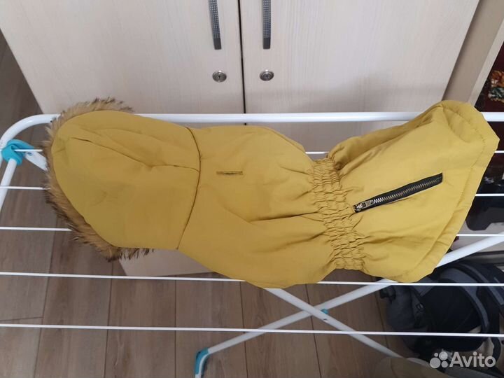 Одежда для маленьких пород собак