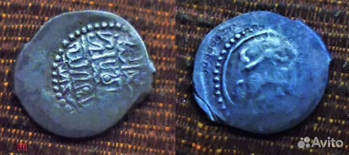 Чешуя удельная сокольник/подражание