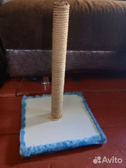 Когтеточка для кота