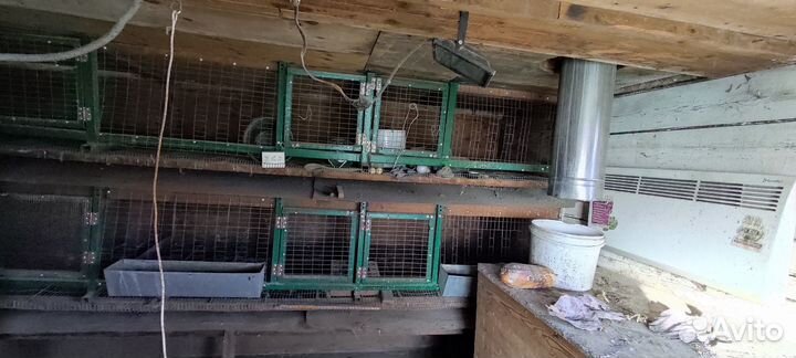 Клетки для кроликов или куриц