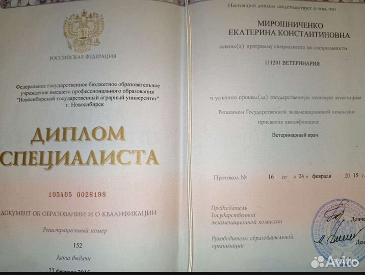 Ветеринар на дом.Кесарево, родовспоможение