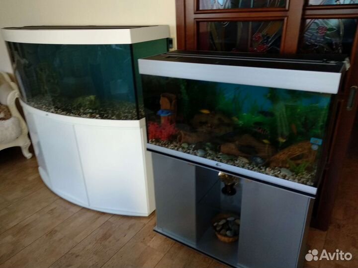 Обслуживание аквариумов