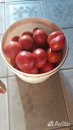 Продукты питания