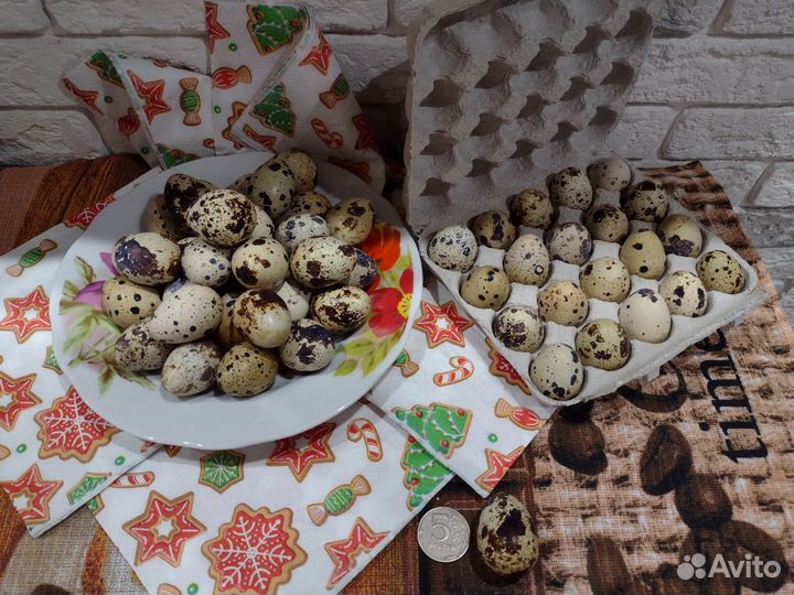 Инкубационные перепелиные яйца