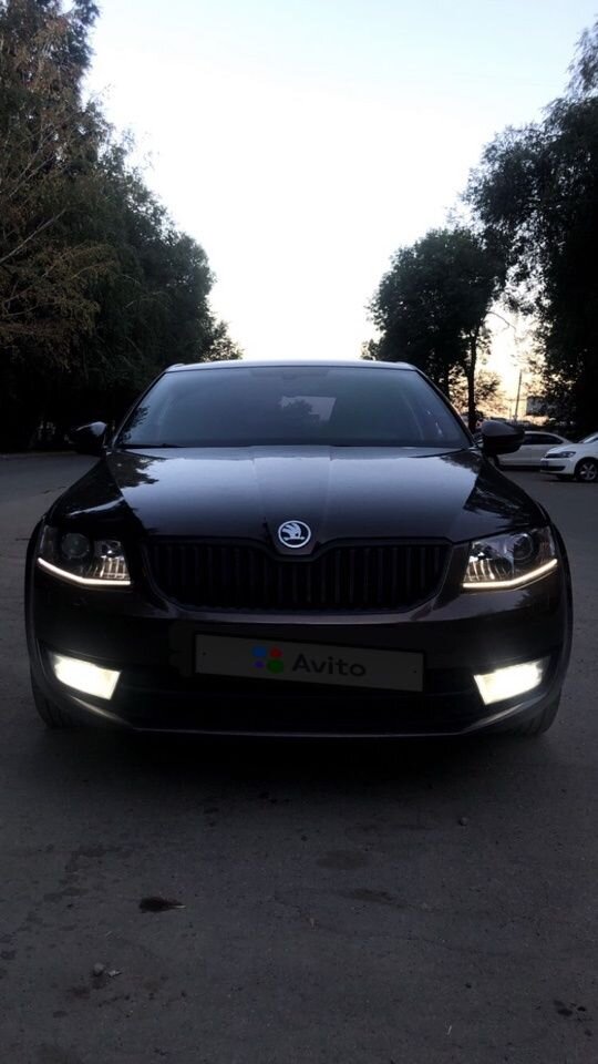 Skoda Octavia: фото владельца