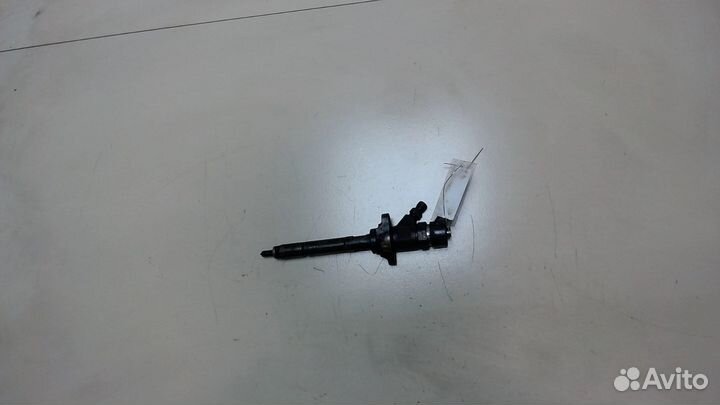 Форсунка топливная Citroen C4 Picasso, 2008