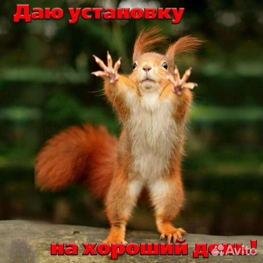 Прокат велосипедов и электросамакатов