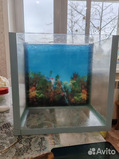 Аквариум