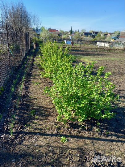 Продам дачный участок