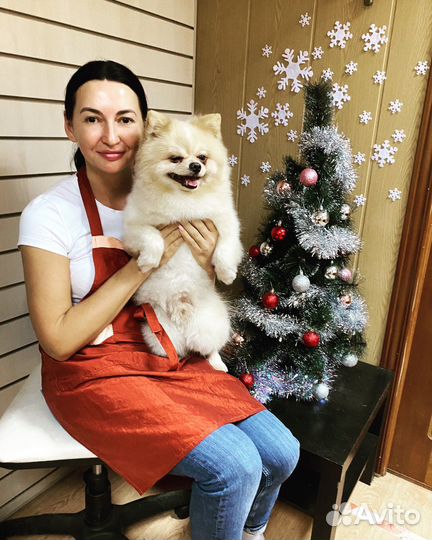 Груминг собак