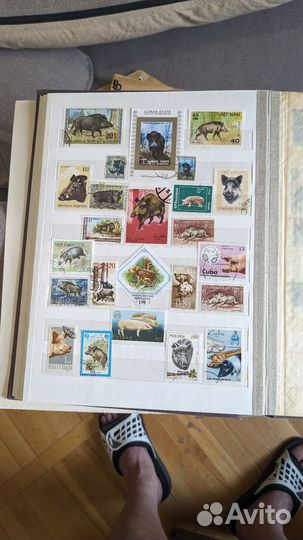 Альбом с марками. Животные