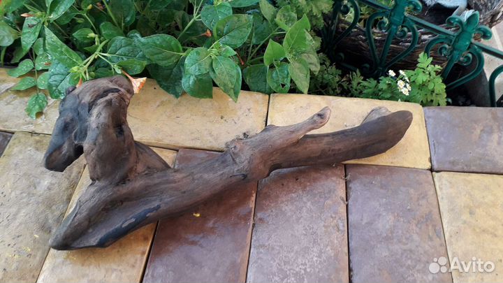 Коряги для аквариума