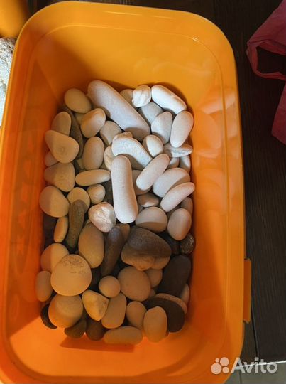 Для аквариума камни ракушки морские