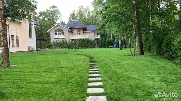 Рулонный газон