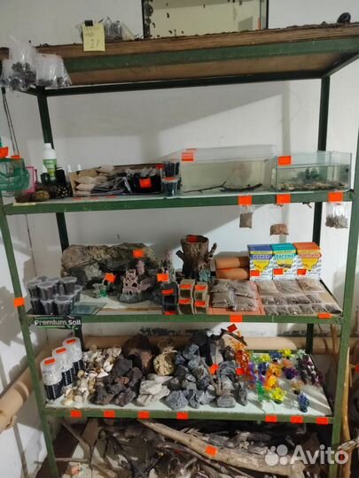 Аквариумные рыбки