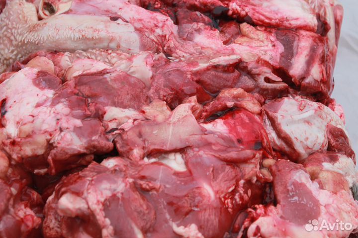 Мясо для животных