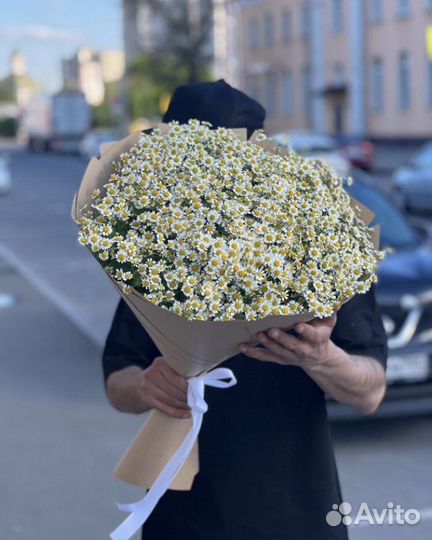 Ромашки, букет из ромашек, доставка цветов
