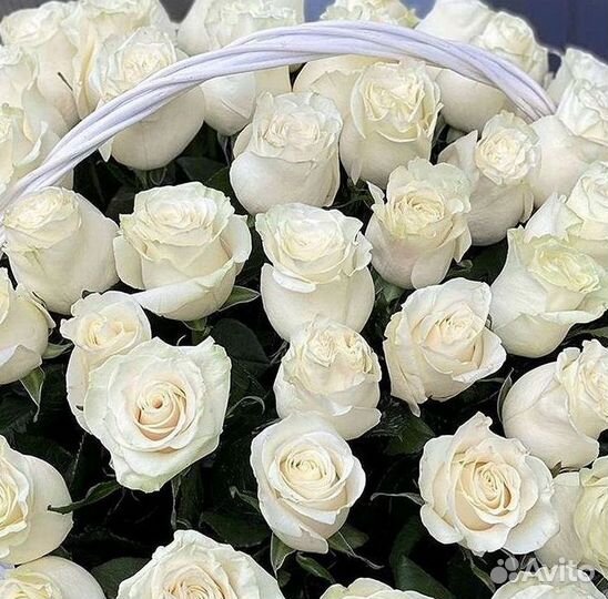101 Роза Цветы Букеты 51 25 Роз Доставка