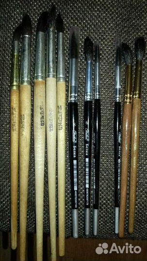 Кисти СССР, и Белка