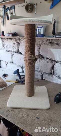 Ремонт когтеточек в Красноярске