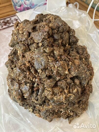 Прополис пчелиный