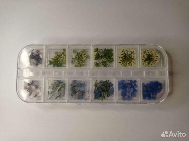 Цветы плоской сушки