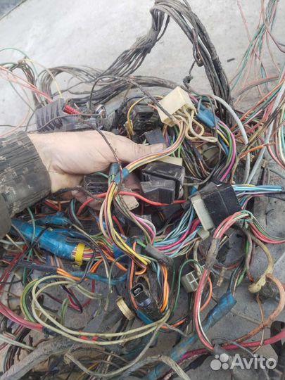 Проводка ока