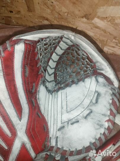 Вратарские ловушка блин Brains