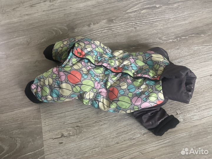 Комбинезон для шпица мальчик