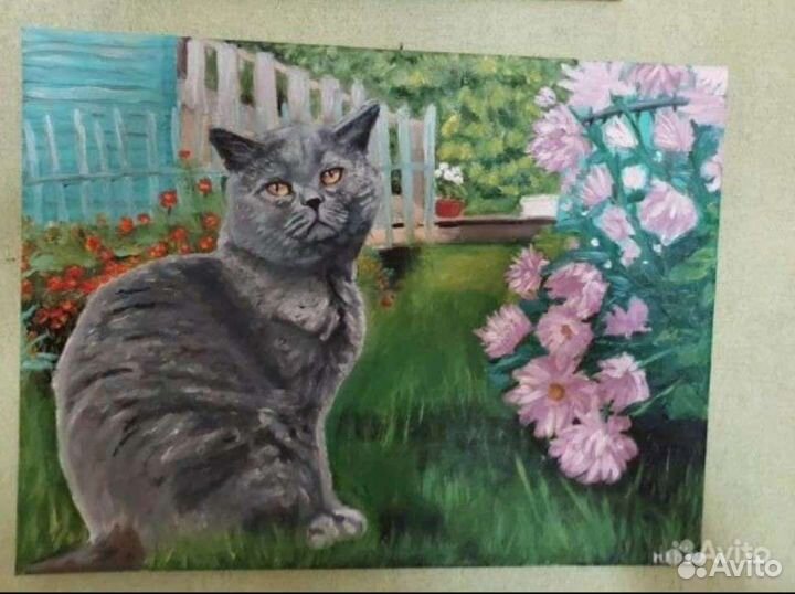 Картина маслом. Британский кот