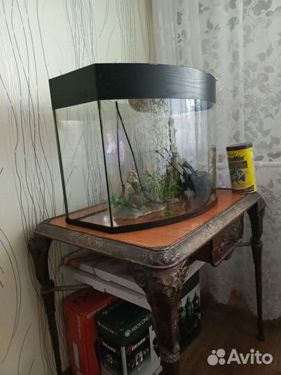 Аквариум