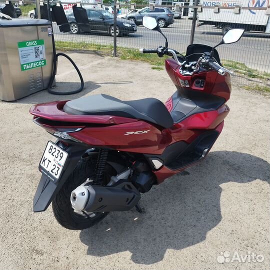 Honda pcx