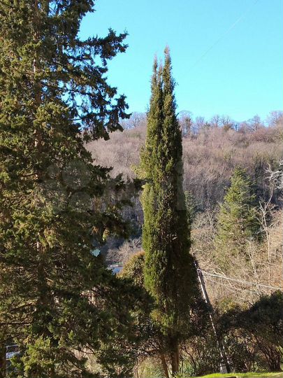 Участок 7 сот. (ИЖС)