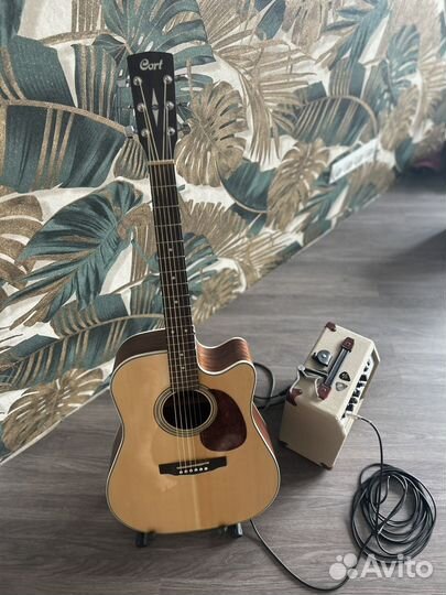 Электроаккустическая гитара + комбоусилитель
