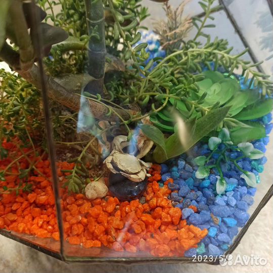 Флорариум 20 на 25 см