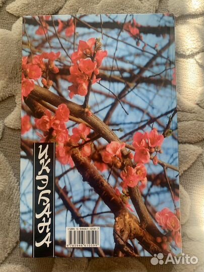 Икэбана Николаенко (книга)