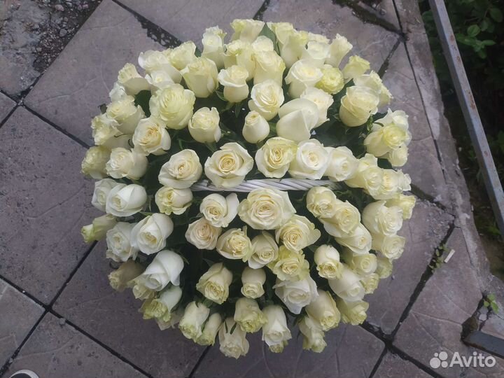 Корзина белых роз, 101 роза в корзине