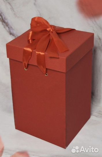 Живая роза, вечноцветущая роза, 5 лет