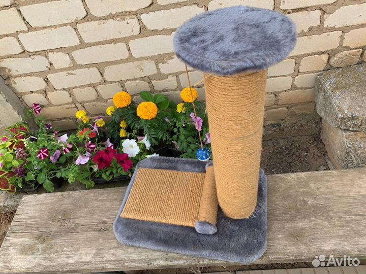 Когтеточка