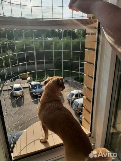 Балкончик для кошки