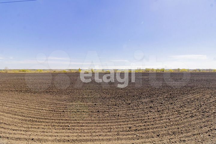 Участок 40 сот. (СНТ, ДНП)