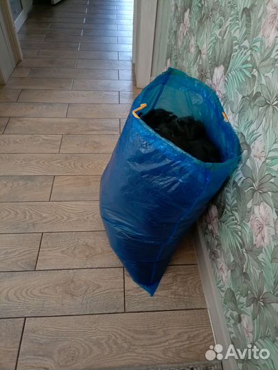 Собачий пух