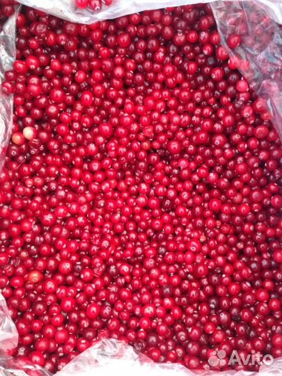 Брусника, клюква, смородина, черника, вишня, ягода