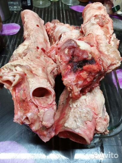 Мясо для питомцев