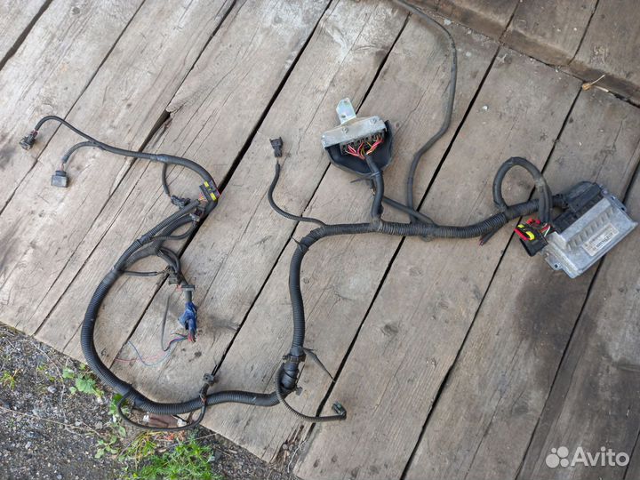 Мозги эбу на газель 4216