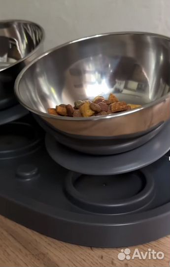 Миска для животных