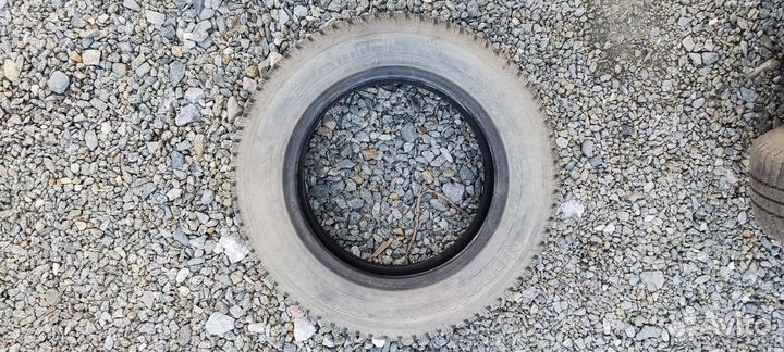 Amtel NordMaster ST 175/65 R14