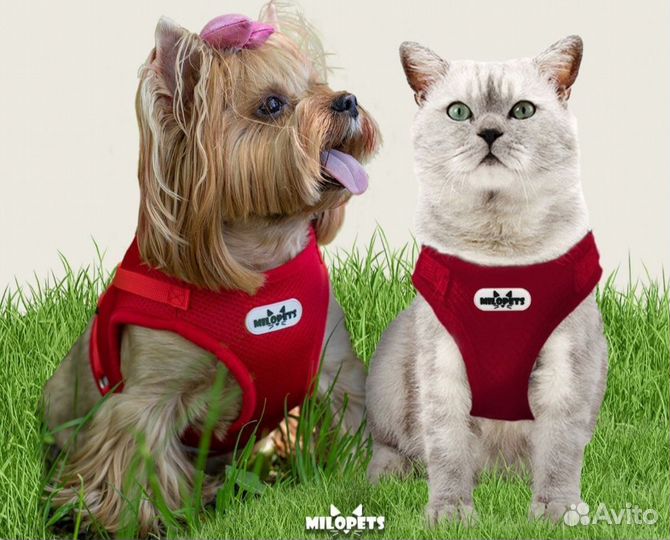 Шлейка для собак и кошек анатомическая